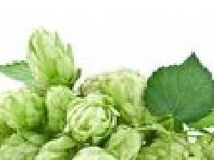 <b>HOP FORMS</b>