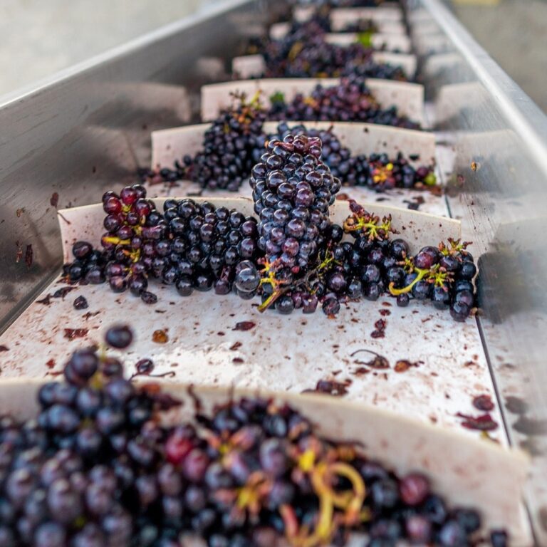 Annual Production 1,000,000 L Turnkey Winery Solution